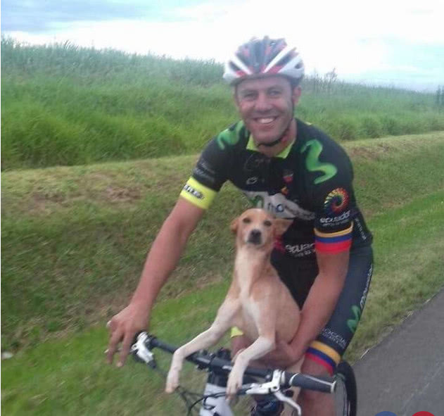 狗狗在原地等待主人3天,却不知已被抛弃,幸遇小伙后开心搭便车休闲区蓝鸢梦想 - Www.slyday.coM 狗狗在原地等待主人3天,却不知已被抛弃,幸遇小伙后开心搭便车休闲区蓝鸢梦想 - Www.slyday.coM