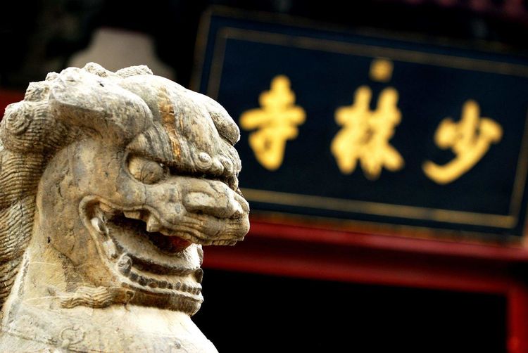 河南一景区火了,因坐落嵩山腹部茂密丛林中得名,被评为5A景区休闲区蓝鸢梦想 - Www.slyday.coM 河南一景区火了,因坐落嵩山腹部茂密丛林中得名,被评为5A景区休闲区蓝鸢梦想 - Www.slyday.coM