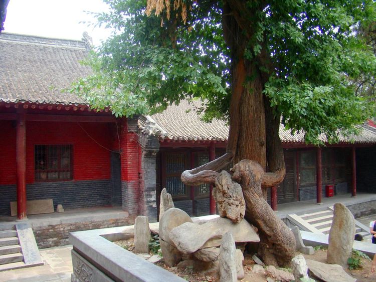 河南一景区火了,因坐落嵩山腹部茂密丛林中得名,被评为5A景区休闲区蓝鸢梦想 - Www.slyday.coM 河南一景区火了,因坐落嵩山腹部茂密丛林中得名,被评为5A景区休闲区蓝鸢梦想 - Www.slyday.coM