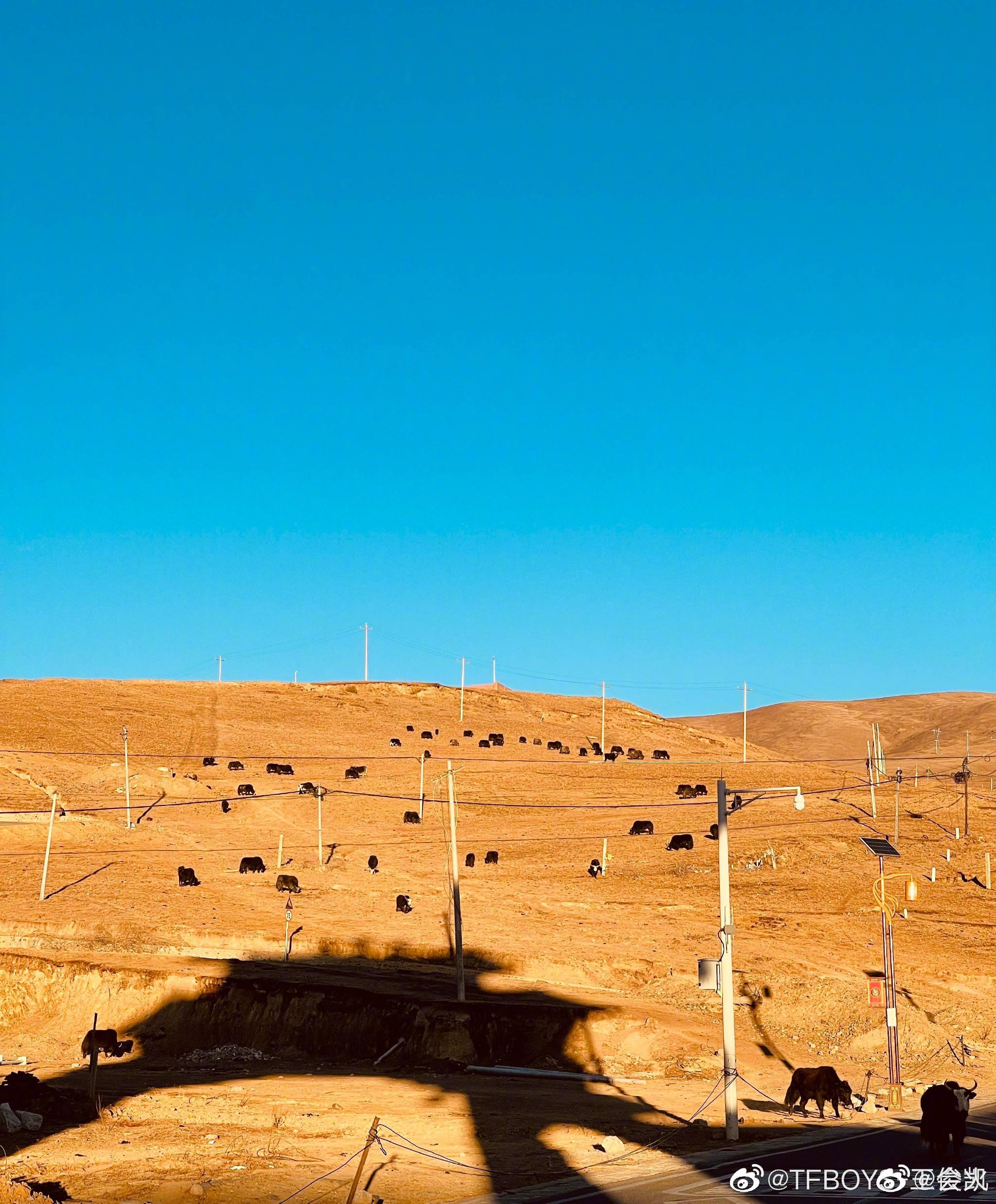 王俊凯好会拍风景一男的