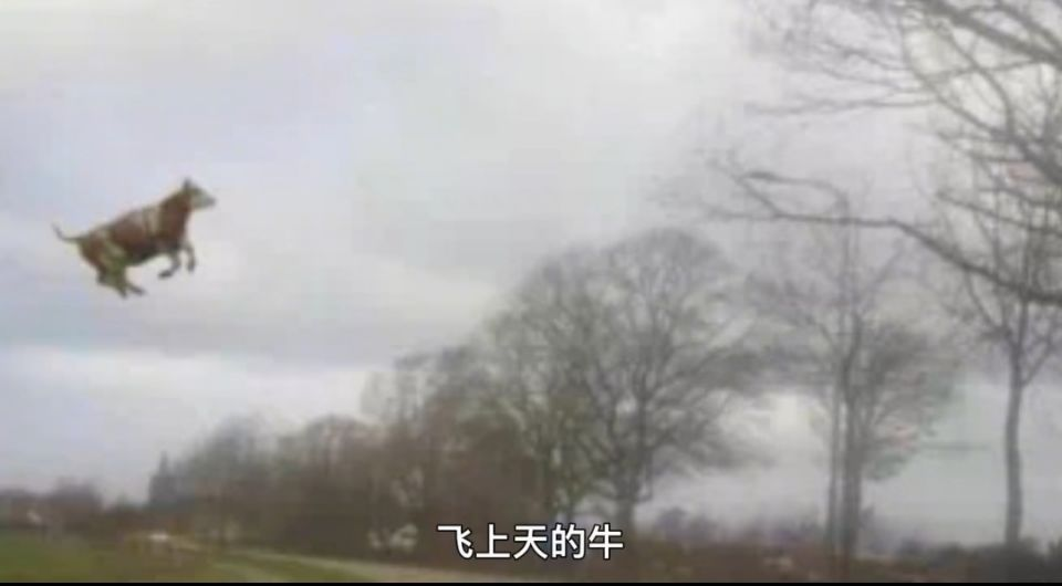 牛都被吹上天欧洲出现有气象记录以来最强风暴风力如17级台风