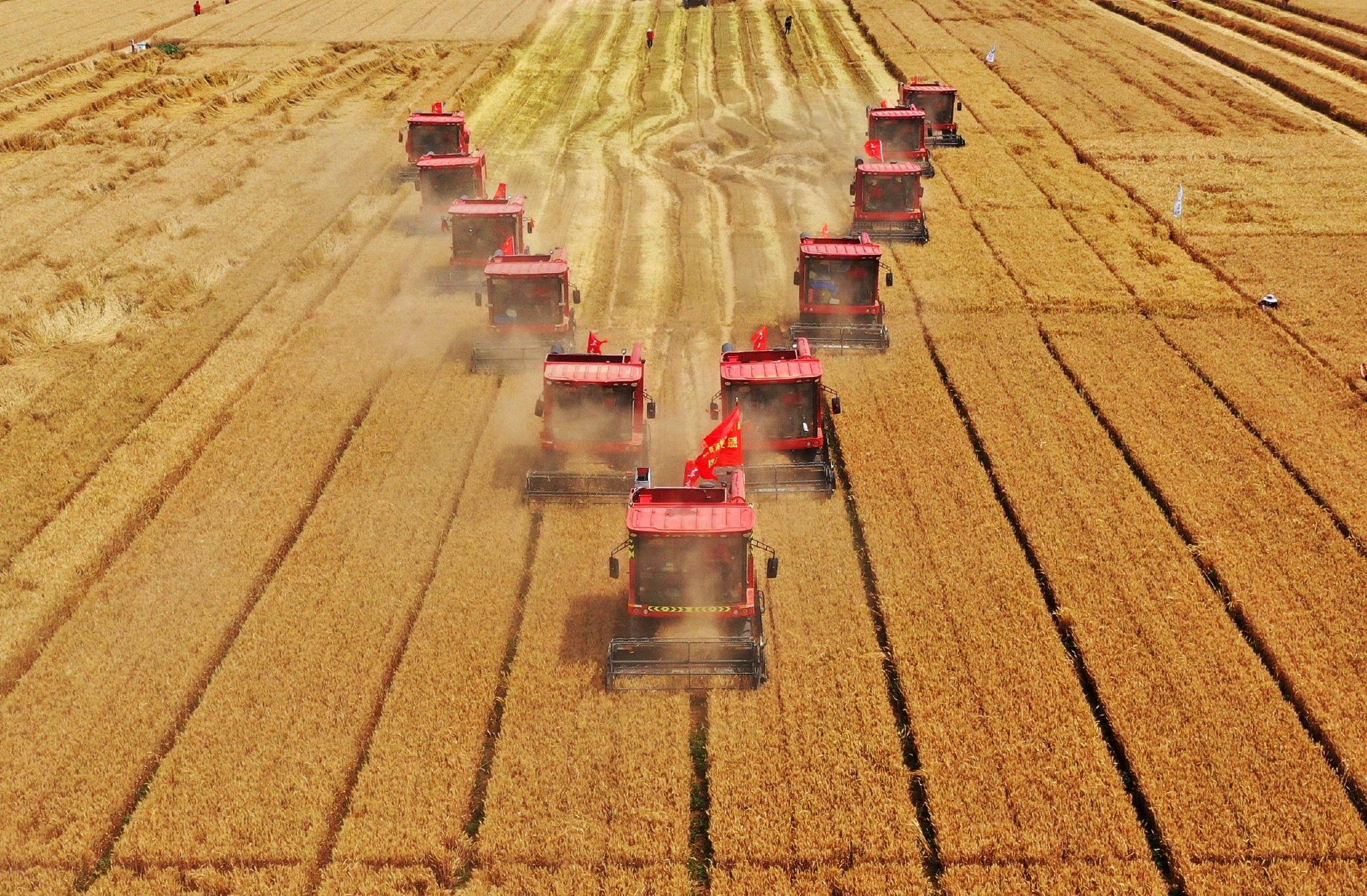 【地评线】荔枝网评:"大国粮仓"根基牢,"中国饭碗"端得稳|耕地红线