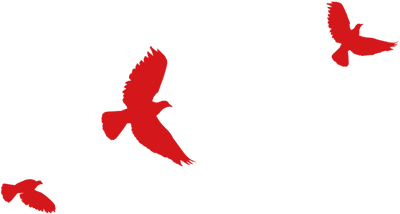 辽宁省新增7例本土新冠肺炎确诊病例，活动轨迹公布！休闲区蓝鸢梦想 - Www.slyday.coM