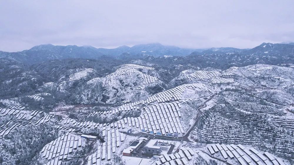 道路结冰黄色预警！温州未来几天天气如何？还会下雪吗？休闲区蓝鸢梦想 - Www.slyday.coM