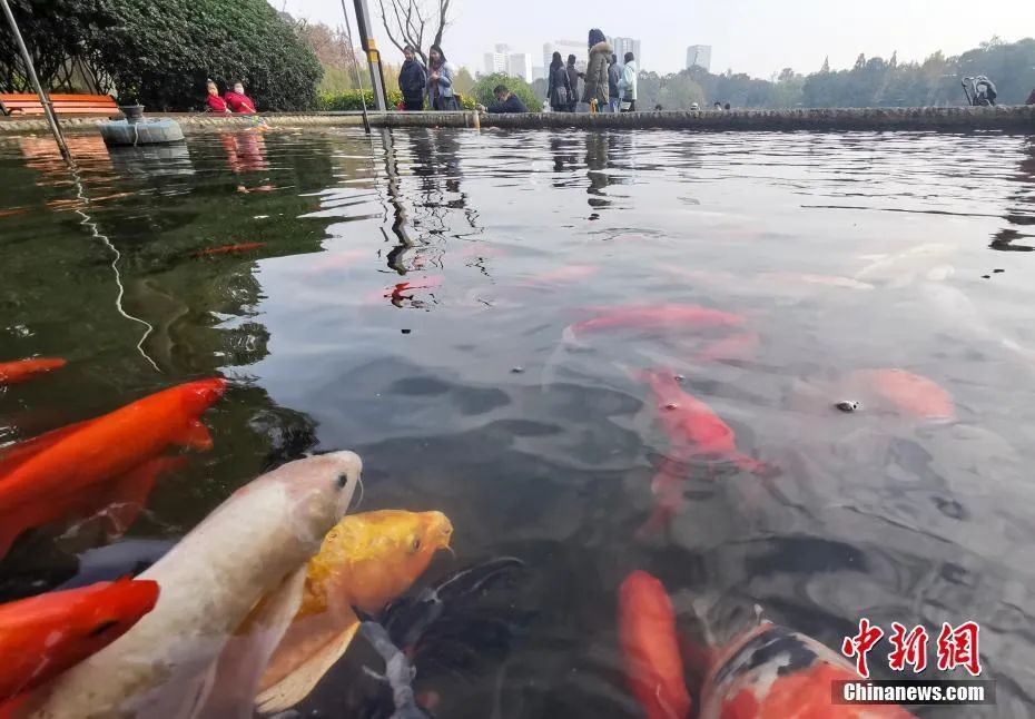 快查分，安徽高校考研成绩公布了！休闲区蓝鸢梦想 - Www.slyday.coM