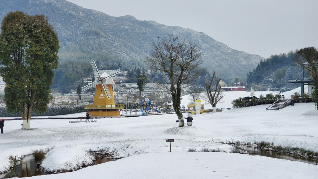 道路结冰黄色预警！温州未来几天天气如何？还会下雪吗？休闲区蓝鸢梦想 - Www.slyday.coM