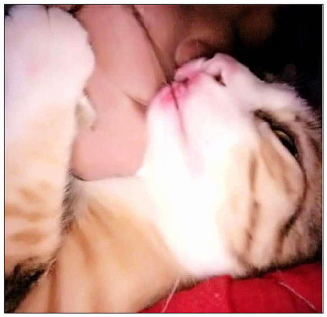 女主人喝酒喝断片,回家抱着猫咪亲吻,次日起来一看笑坏了休闲区蓝鸢梦想 - Www.slyday.coM 女主人喝酒喝断片,回家抱着猫咪亲吻,次日起来一看笑坏了休闲区蓝鸢梦想 - Www.slyday.coM