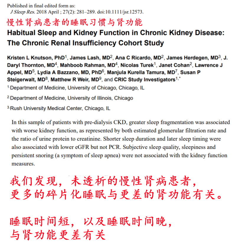 晚睡晚起，时间睡够，还算「熬夜伤肾」吗？休闲区蓝鸢梦想 - Www.slyday.coM