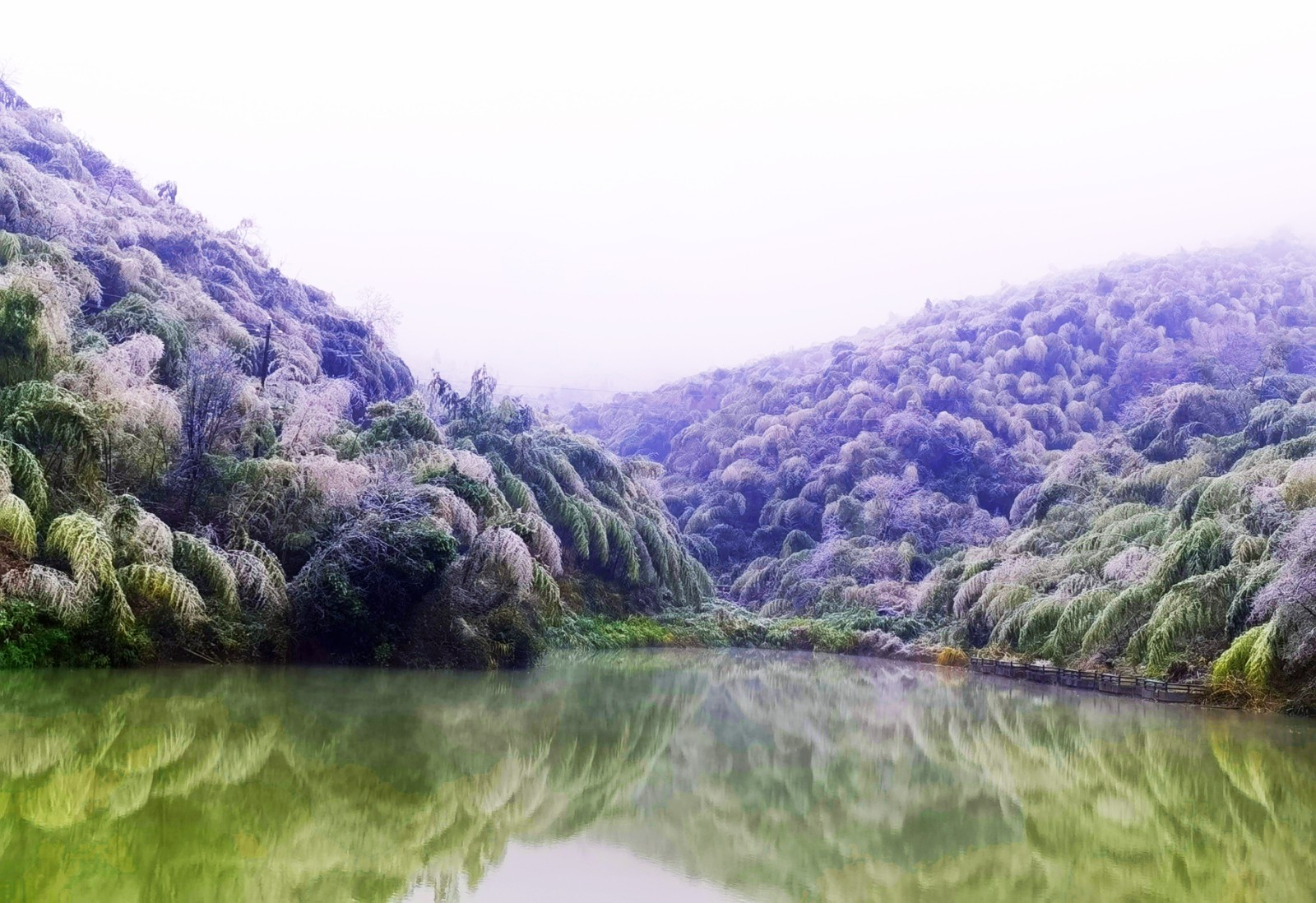 耒阳市蔡伦竹海风景区图片