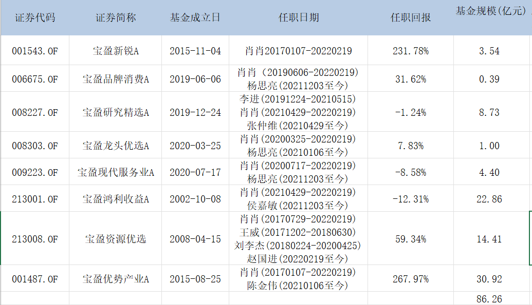“肖肖离职、宝盈基金再失权益主力，这家老牌公募是如何掉队的