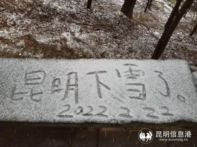 2022年2月22日昆明动物园东北虎开心戏雪 各公园雪中赏花美不胜收休闲区蓝鸢梦想 - Www.slyday.coM
