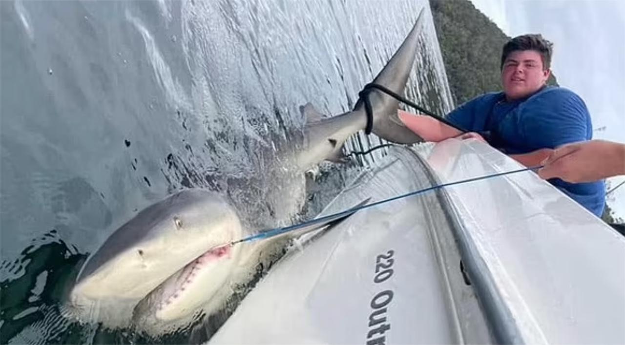 实拍15岁胖小伙钓鲨鱼:鱼竿弯曲成半圆,跟鱼"拔河"额头直冒汗