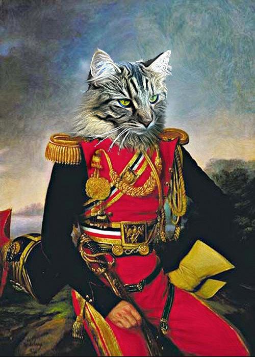 从基辅罗斯公国说起：俄罗斯乌克兰“历史新解”的新解休闲区蓝鸢梦想 - Www.slyday.coM