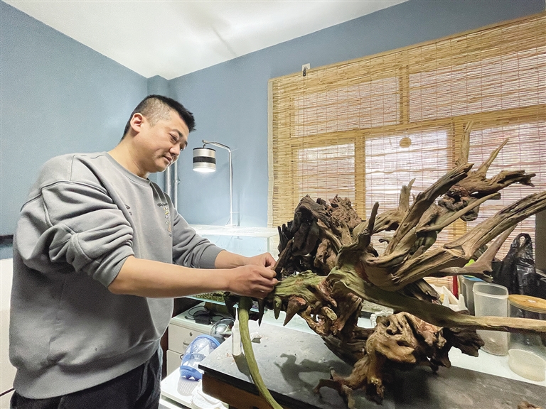 职场探新指尖演绎自然魅力水族造景师岳伟和他的缸体世界