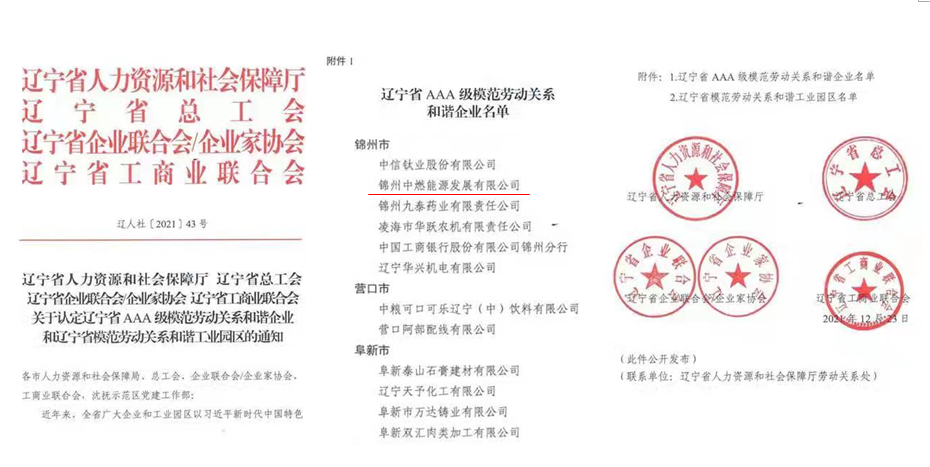 转发——新浪网《荣誉加身更须砥砺 中燃集团业务发展与社会责任并行》
