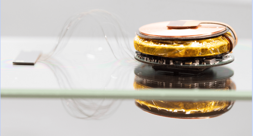 马斯克被指虐待实验动物？科研人员：用于脑机接口研究的猴子训练成本非常高，不可能出现虐待的情况休闲区蓝鸢梦想 - Www.slyday.coM