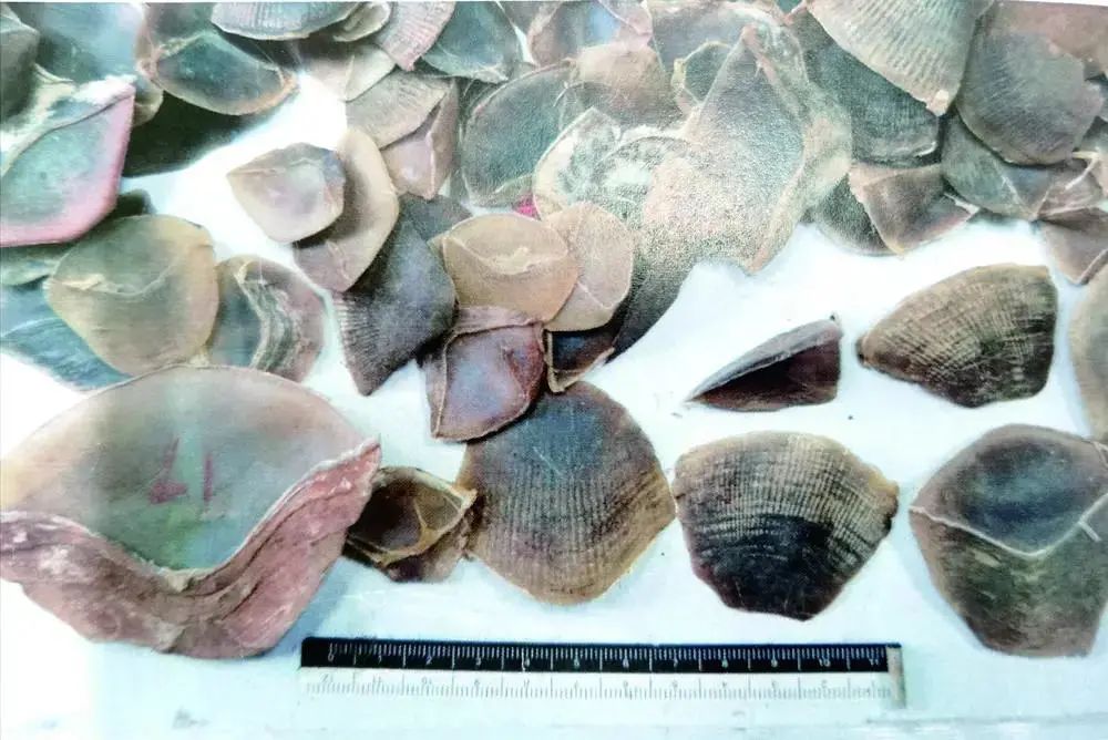 玉器加盟店排行榜_山东翡翠玉器翡翠珠宝加盟新模式更有商机