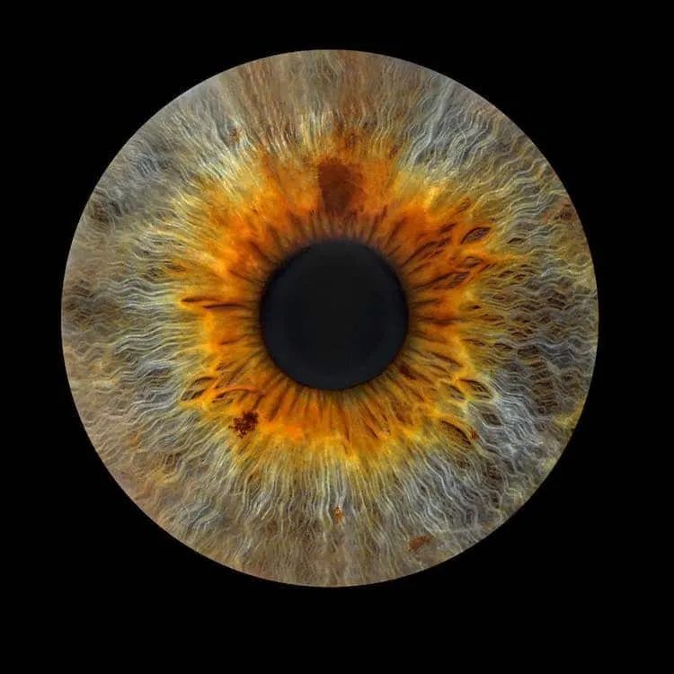 专门给眼睛拍特写的摄影师休闲区蓝鸢梦想 - Www.slyday.coM