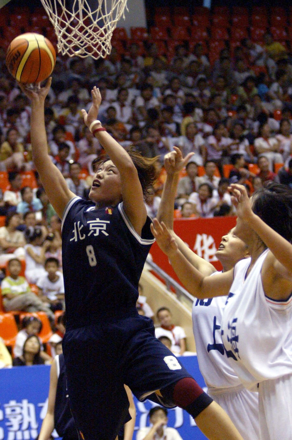 张琳出任球队执行主教练|首钢女篮|北京首钢|女篮_新浪新闻