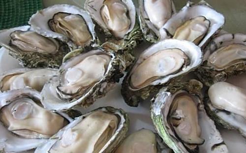 生蚝怎么做好吃?教你一招,一口一个,鲜香爽滑,一次能吃多少?休闲区蓝鸢梦想 - Www.slyday.coM 生蚝怎么做好吃?教你一招,一口一个,鲜香爽滑,一次能吃多少?休闲区蓝鸢梦想 - Www.slyday.coM