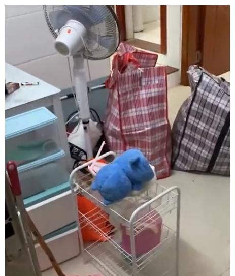 女孩分手望着大包小包的行李哭着搬家网友的评论扎心了