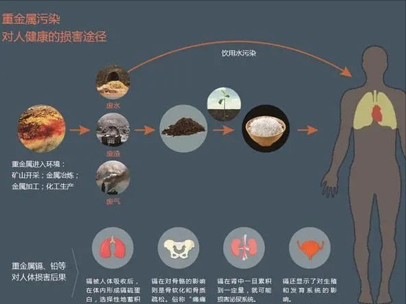 每年21万吨电子垃圾养活4万人却让他们活不过25岁