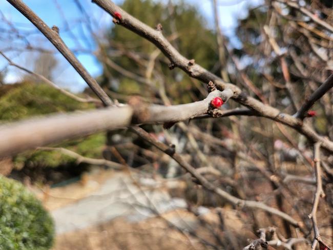 三星Galaxy S22+评测：是你现在能买到的最均衡的安卓旗舰休闲区蓝鸢梦想 - Www.slyday.coM