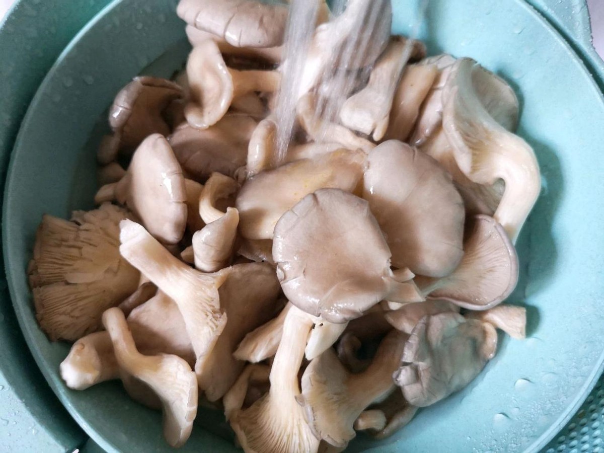 凉拌平菇鲜辣爽滑简单易学开胃下饭一盘不够吃