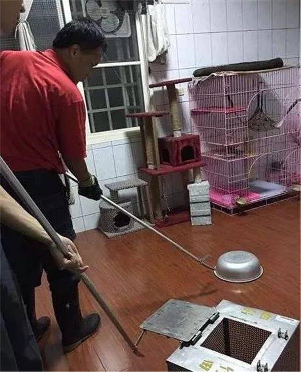 女子一周前收养了一只流浪猫,关键时刻猫咪为报恩救了她休闲区蓝鸢梦想 - Www.slyday.coM 女子一周前收养了一只流浪猫,关键时刻猫咪为报恩救了她休闲区蓝鸢梦想 - Www.slyday.coM