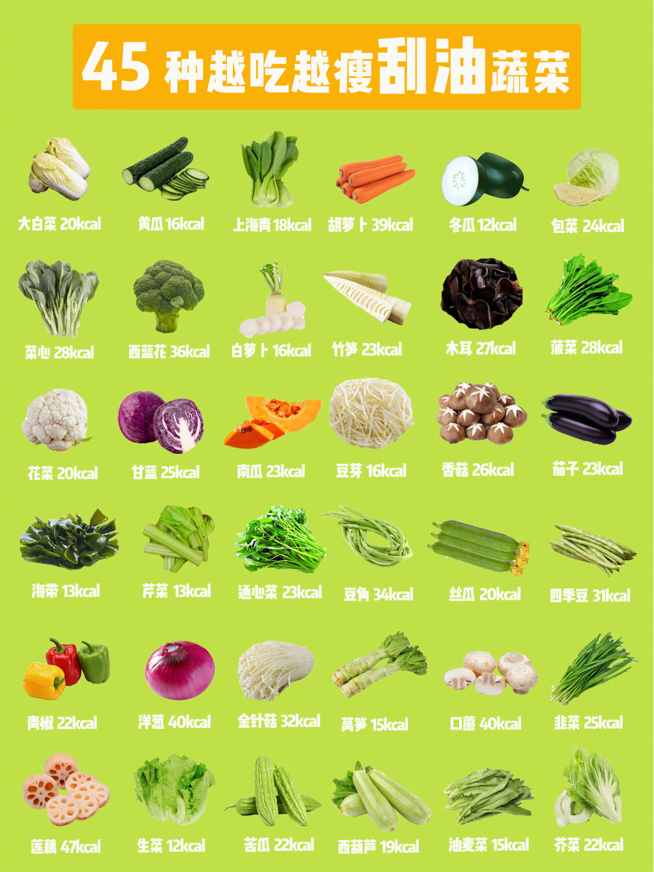 蛋白粉便携盒哪个品牌好