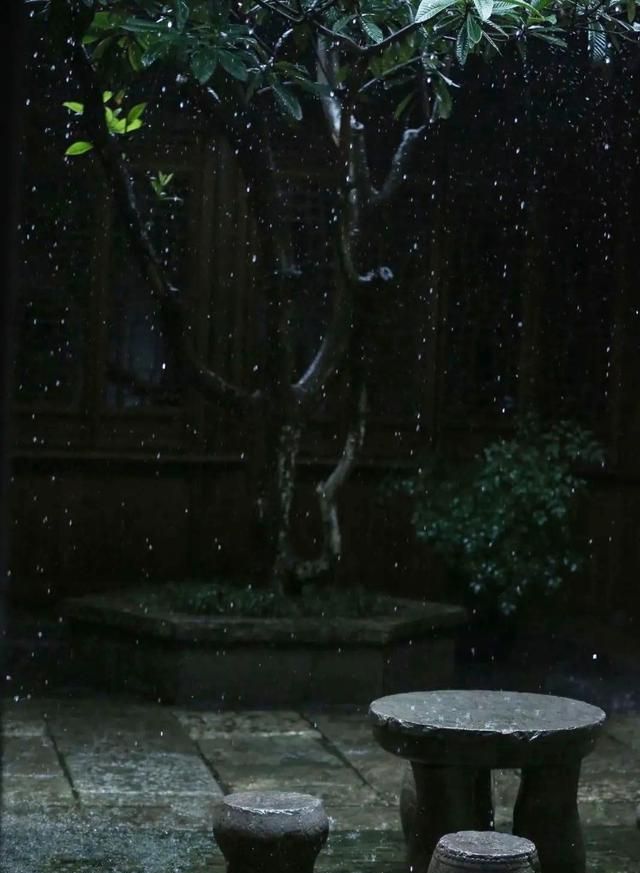 散文静坐无余事闲听春雨又一夜