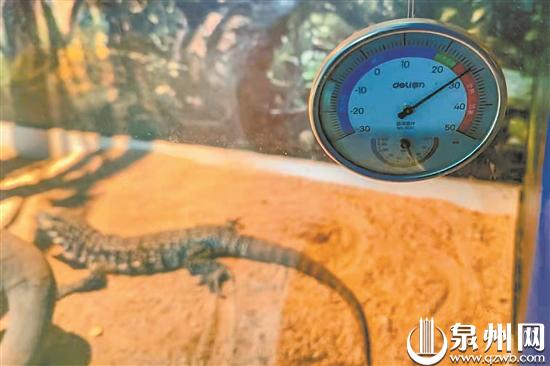 吹暖风机、住空调暖房、吃高热量食物 看动物们“花式”取暖休闲区蓝鸢梦想 - Www.slyday.coM