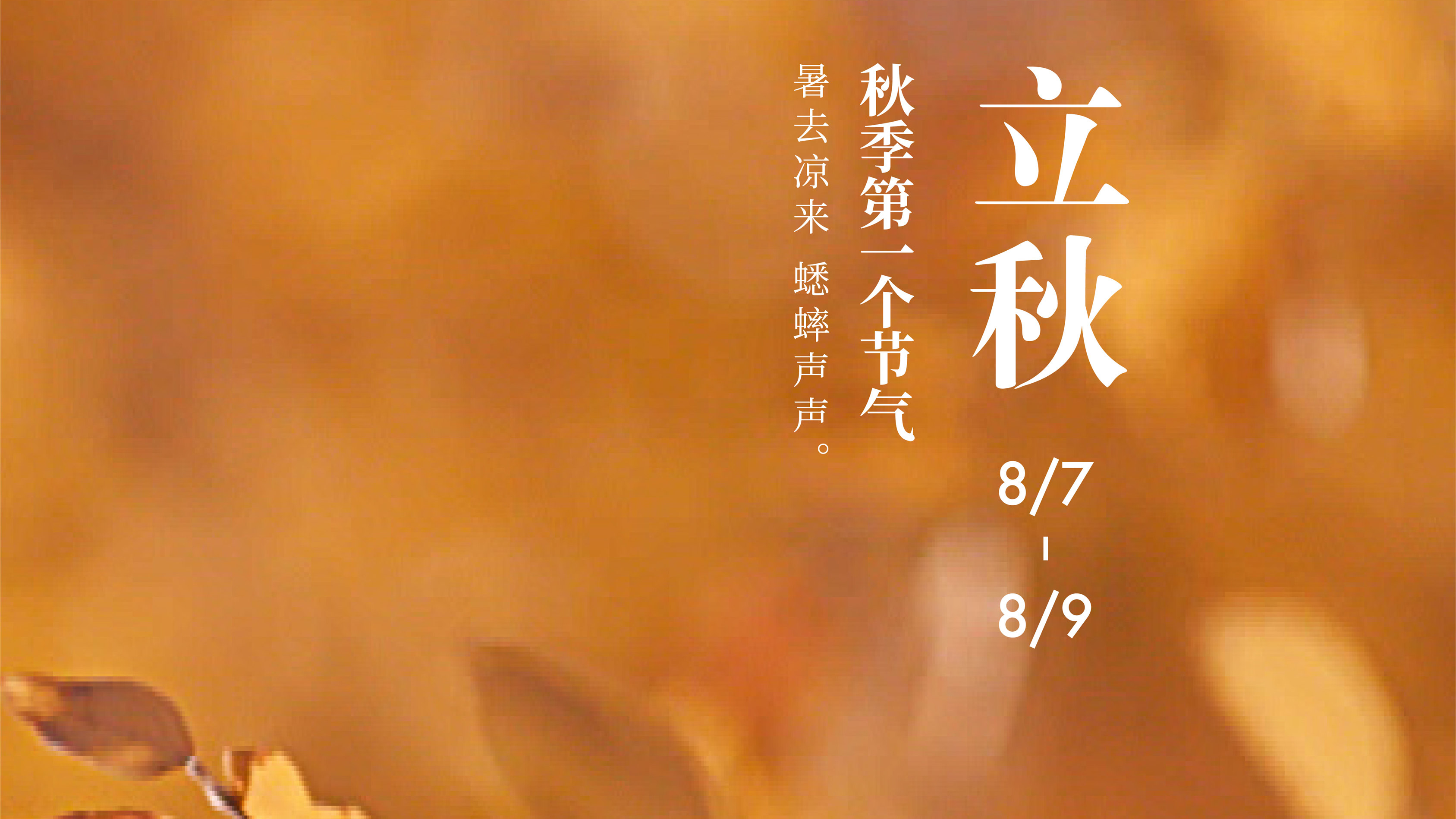 全球连线|二十四节气大赏之十三:立秋_新浪新闻