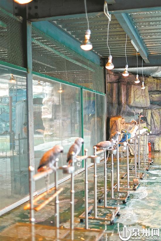 吹暖风机、住空调暖房、吃高热量食物 看动物们“花式”取暖休闲区蓝鸢梦想 - Www.slyday.coM