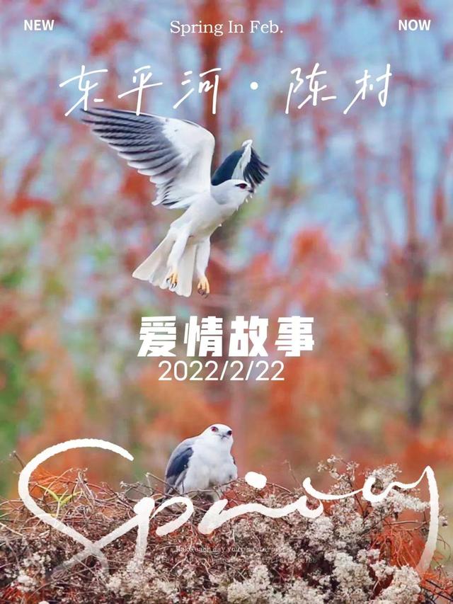 佛山东平河陈村爱情故事浪漫上演