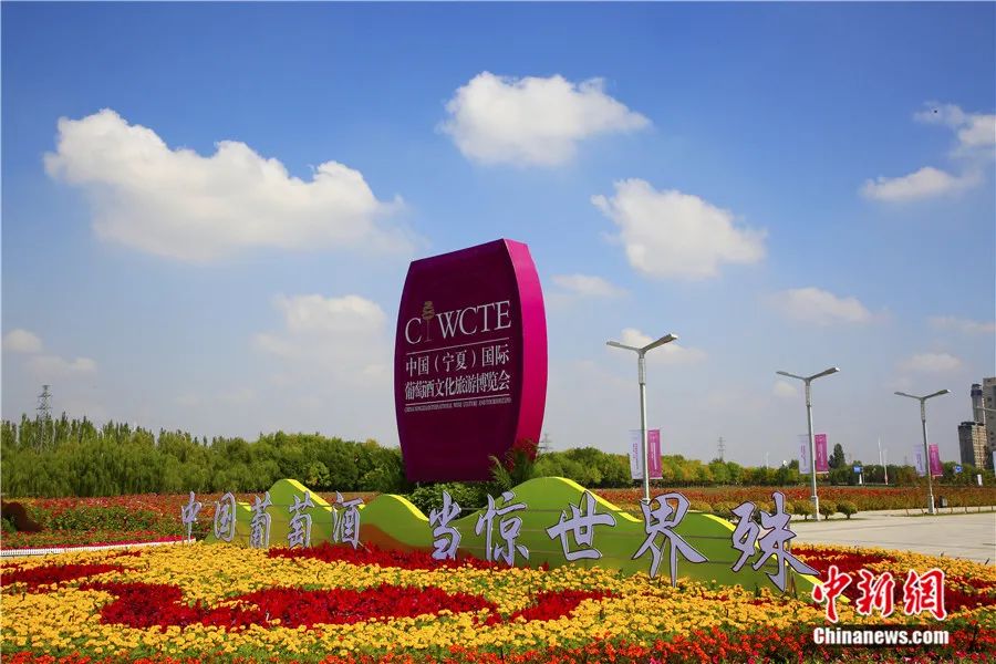 如何避开登录陷阱？栖凤楼论坛全流程省时60%方案