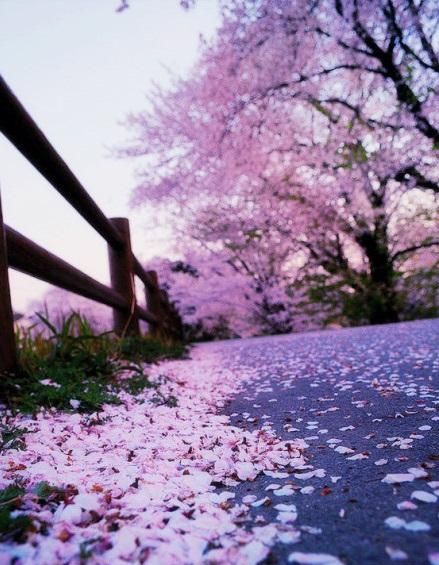 和老公一起出去旅游,回来之后,结束了10年的感情休闲区蓝鸢梦想 - Www.slyday.coM 和老公一起出去旅游,回来之后,结束了10年的感情休闲区蓝鸢梦想 - Www.slyday.coM