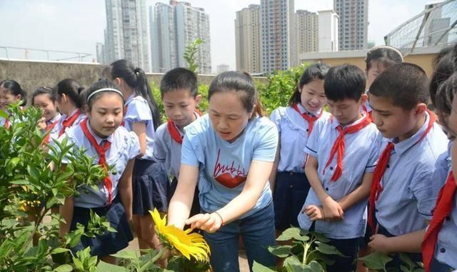 开学老师发一样东西给学生回家，家长高兴：我喜欢这种做法！休闲区蓝鸢梦想 - Www.slyday.coM