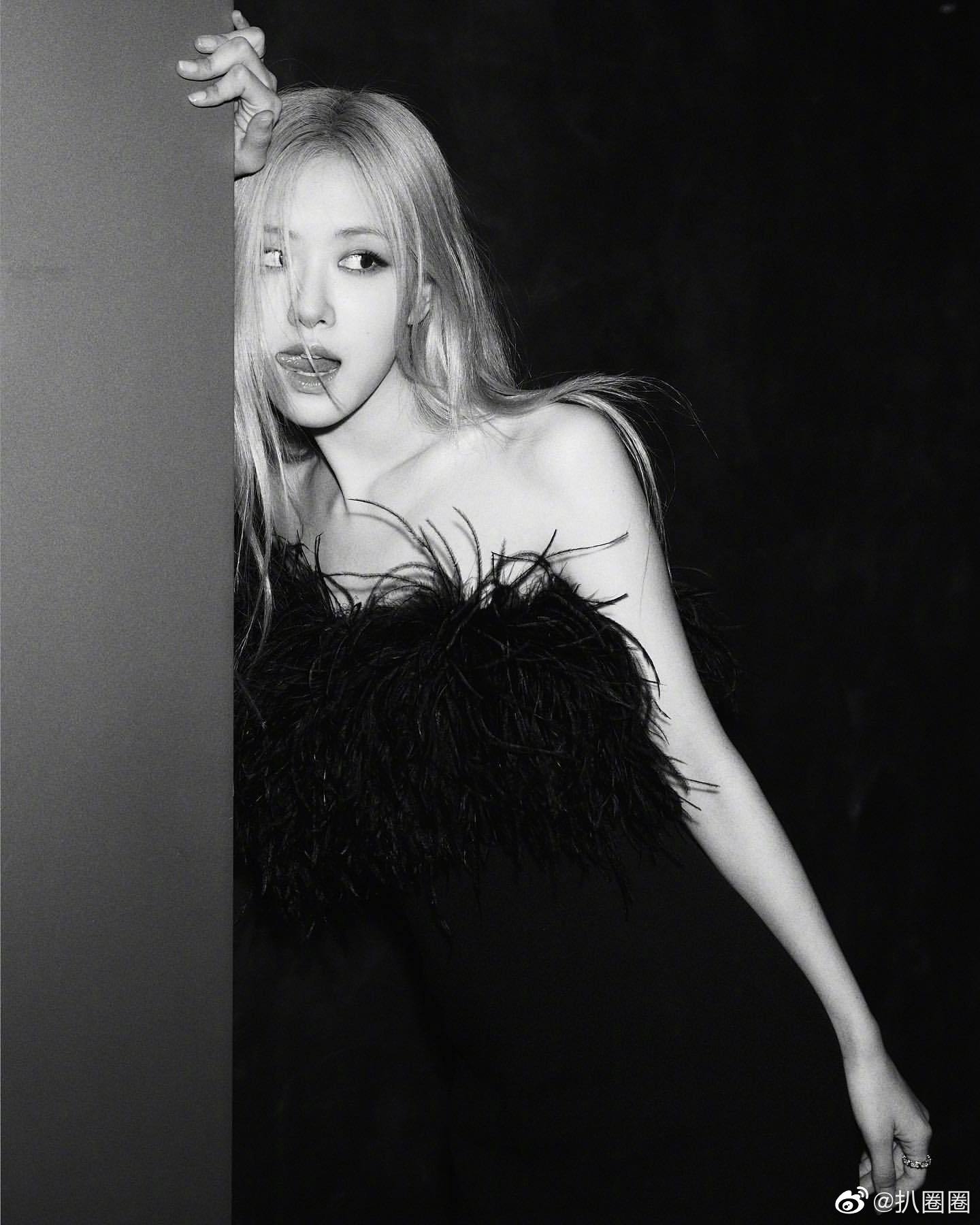 黑白滤镜下的rosé好辣的澳洲小玫瑰