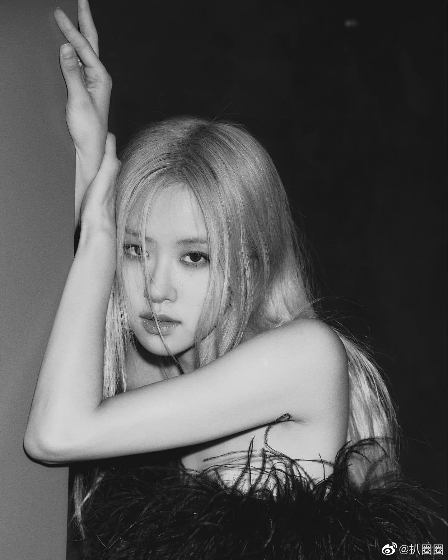 黑白滤镜下的rosé好辣的澳洲小玫瑰