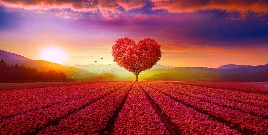 和老公一起出去旅游,回来之后,结束了10年的感情休闲区蓝鸢梦想 - Www.slyday.coM 和老公一起出去旅游,回来之后,结束了10年的感情休闲区蓝鸢梦想 - Www.slyday.coM