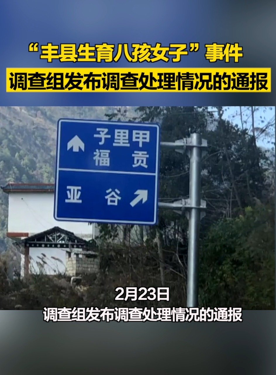 “丰县生育八孩女子”事件，调查组发布调查处理情况的通报|生育|调查组_新浪新闻