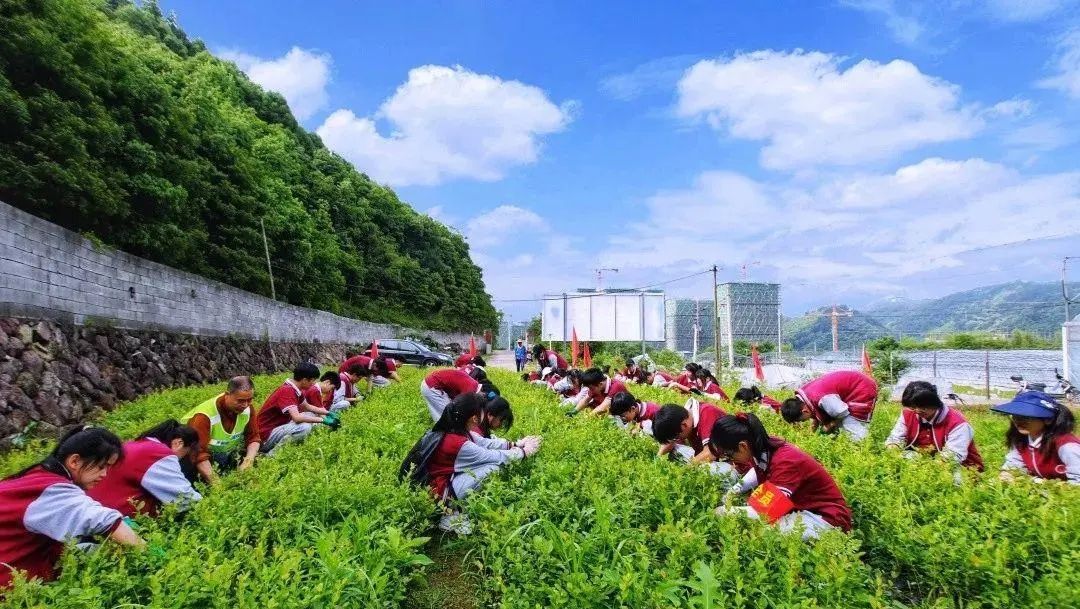开学老师发一样东西给学生回家，家长高兴：我喜欢这种做法！休闲区蓝鸢梦想 - Www.slyday.coM