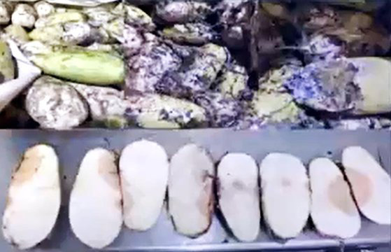 韩国一本土泡菜工厂被爆用腐烂原料做泡菜，工作人员吐槽：太脏了休闲区蓝鸢梦想 - Www.slyday.coM