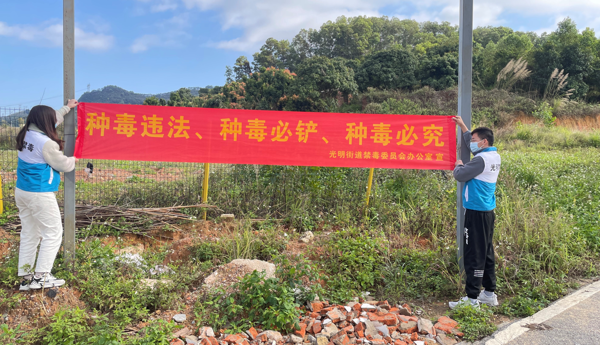 光明街道开展全民禁种铲毒工作力争实现零种植零产量目标