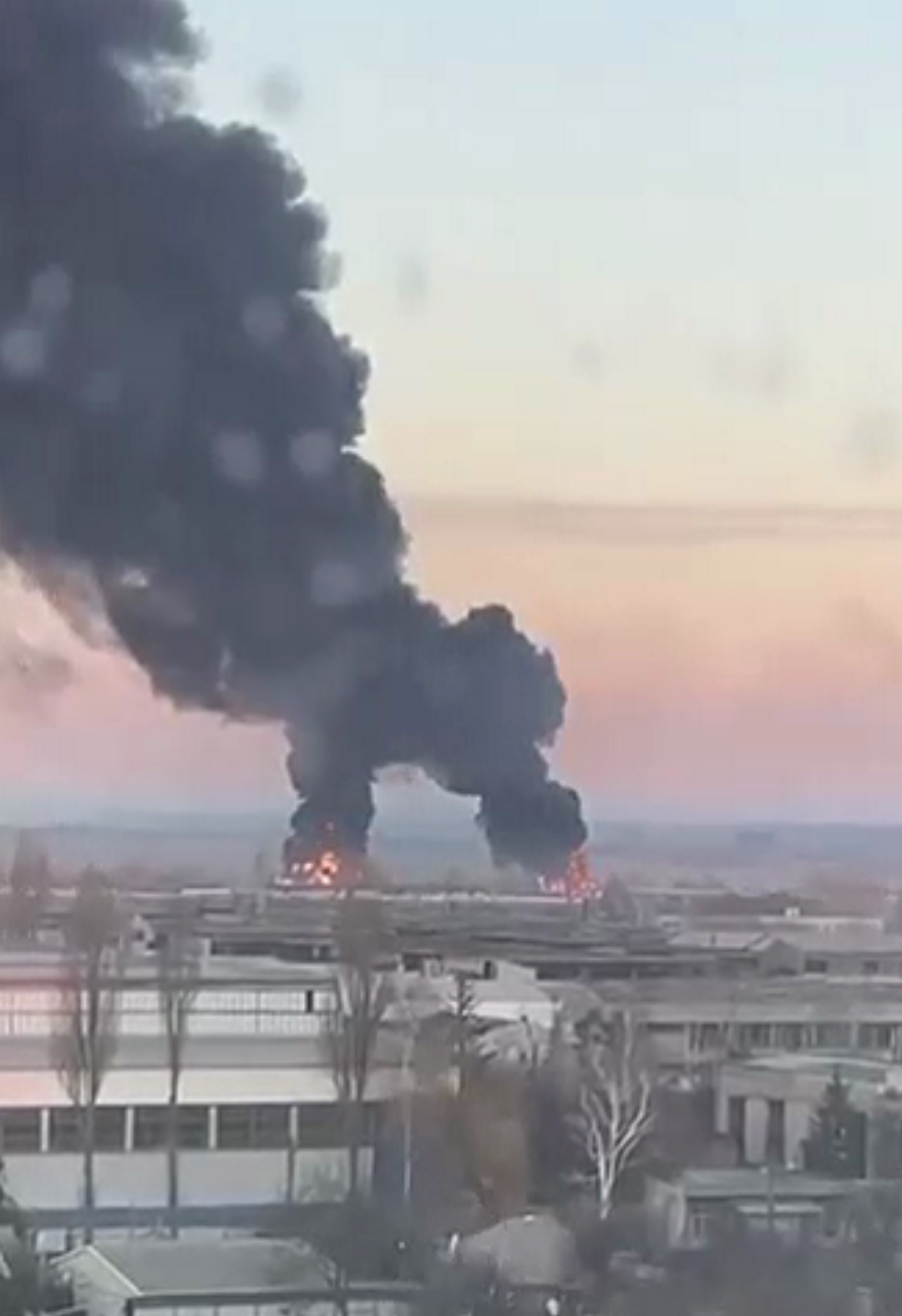 紧急提醒！在乌中国公民可在车身明显处贴中国国旗休闲区蓝鸢梦想 - Www.slyday.coM