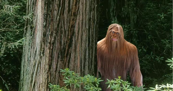 英国司机半夜开车遇到"山羊人",求助网友那到底是什么?