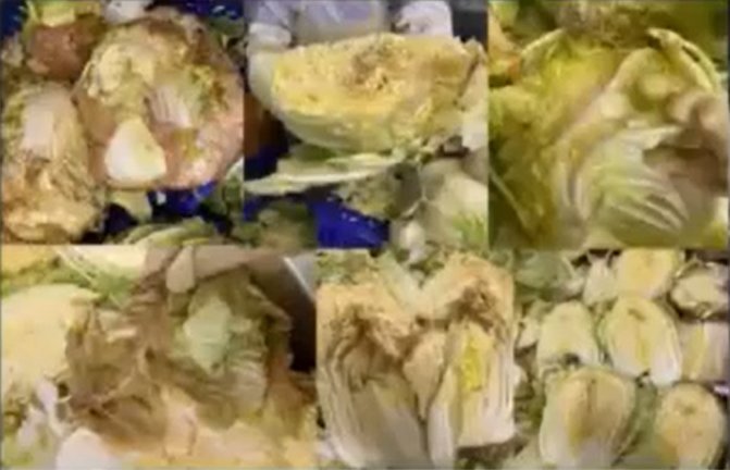韩国一本土泡菜工厂被爆用腐烂原料做泡菜，工作人员吐槽：太脏了休闲区蓝鸢梦想 - Www.slyday.coM