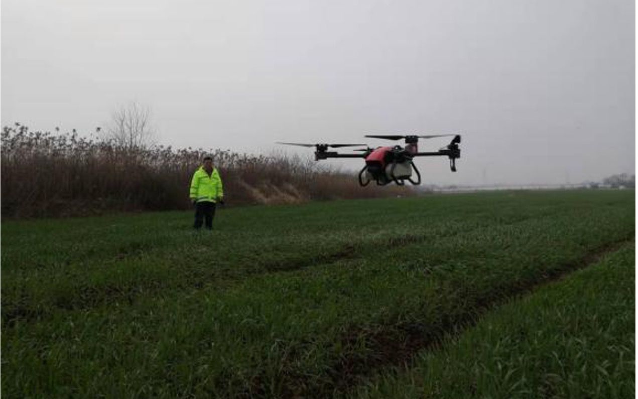 6小时搞定220亩施肥作业安徽肥东县植保飞机助力春耕