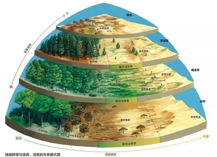 【新微专题】关于林线你需要掌握的地理知识|青藏高原_新浪新闻